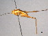  ( - BIOUG02005-A01)  @12 [ ] CreativeCommons - Attribution (2012) CBG Photography Group Centre for Biodiversity Genomics