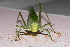  ( - ORTH0004)  @11 [ ] No Rights Reserved (2024) Nico Bluthgen Technische Universitat Darmstadt