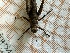  ( - ORTH0135_z)  @11 [ ] No Rights Reserved (2024) Nico Bluthgen Technische Universitat Darmstadt