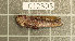  ( - 1012305)  @11 [ ] Unspecified (default): All Rights Reserved (2022) Unspecified Institute of Ecology, Ilia State University