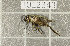  ( - 1012343)  @11 [ ] Unspecified (default): All Rights Reserved (2022) Unspecified Institute of Ecology, Ilia State University
