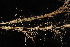 (Aristida gyrans - OSBAR000027)  @11 [ ] Copyright (2014) Florida Museum of Natural History Florida Museum of Natural History