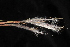  ( - OSBAR000049)  @11 [ ] Copyright (2014) Florida Museum of Natural History Florida Museum of Natural History