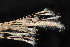  ( - OSBAR000056)  @11 [ ] Copyright (2014) Florida Museum of Natural History Florida Museum of Natural History