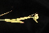  ( - OSBAR000073)  @11 [ ] Copyright (2014) Florida Museum of Natural History Florida Museum of Natural History