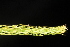  ( - OSBAR000077)  @11 [ ] Copyright (2014) Florida Museum of Natural History Florida Museum of Natural History