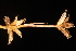  ( - OSBAR000117)  @11 [ ] Copyright (2014) Florida Museum of Natural History Florida Museum of Natural History