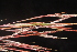  ( - OSBAR000179)  @11 [ ] Copyright (2014) Florida Museum of Natural History Florida Museum of Natural History
