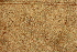  ( - OSBAR000238)  @11 [ ] Copyright (2014) Florida Museum of Natural History Florida Museum of Natural History