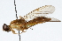  ( - DP-OUBS-0062)  @13 [ ] CreativeCommons - Attribution (2010) Unspecified Centre for Biodiversity Genomics
