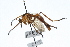  ( - DP-OUBS-0171)  @11 [ ] CreativeCommons - Attribution (2009) Unspecified Centre for Biodiversity Genomics