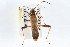  ( - ENT-OUBS-318)  @11 [ ] CreativeCommons - Attribution (2009) Unspecified Centre for Biodiversity Genomics