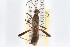  ( - ENT-OUBS-319)  @14 [ ] CreativeCommons - Attribution (2009) Unspecified Centre for Biodiversity Genomics
