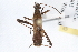  ( - ENT-OUBS-320)  @11 [ ] CreativeCommons - Attribution (2009) Unspecified Centre for Biodiversity Genomics