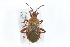  ( - ENT-OUBS-360)  @14 [ ] CreativeCommons - Attribution (2009) Unspecified Centre for Biodiversity Genomics