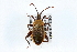  ( - ENT-OUBS-361)  @15 [ ] CreativeCommons - Attribution (2009) Unspecified Centre for Biodiversity Genomics