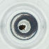  ( - OUMK_009_B1)  @11 [ ] by (2023) Wellcome Sanger Institute (Genome Research Limited) Wellcome Sanger Institute (Genome Research Limited)