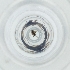  ( - OUMK_010_B8)  @11 [ ] by (2023) Wellcome Sanger Institute (Genome Research Limited) Wellcome Sanger Institute (Genome Research Limited)