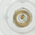  ( - OUMK_031_A6)  @11 [ ] by  Genome Research Ltd as Wellcome Sanger Institute Genome Research Limited operating as Wellcome Sanger Institute