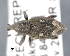  ( - CNCCOLVG00008911)  @13 [ ] Copyright (2015) Vasily Grebennikov CFIA