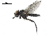  ( - BIOUG26545-D02)  @11 [ ] CreativeCommons - Attribution (2019) CBG Photography Group Centre for Biodiversity Genomics
