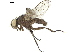  ( - BIOUG26545-D08)  @11 [ ] CreativeCommons - Attribution (2019) CBG Photography Group Centre for Biodiversity Genomics