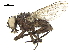  ( - BIOUG26545-E05)  @11 [ ] CreativeCommons - Attribution (2019) CBG Photography Group Centre for Biodiversity Genomics