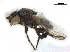  ( - BIOUG26545-H05)  @11 [ ] CreativeCommons - Attribution (2019) CBG Photography Group Centre for Biodiversity Genomics