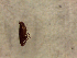  ( - OXB_HAW-0001)  @12 [ ] No Rights Reserved (2014) Hannah Wickenden Oxford Brookes University
