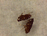  ( - OXB_HAW-0008)  @12 [ ] No Rights Reserved (2014) Hannah Wickenden Oxford Brookes University