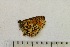  ( - OXB-TGS-1255)  @12 [ ] No Rights Reserved (2016) Joseph Middleton Welling Oxford Brookes University