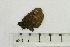  ( - OXB-TGS-1282)  @12 [ ] No Rights Reserved (2016) Joseph Middleton Welling Oxford Brookes University