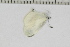  ( - OXB-TGS-1296)  @12 [ ] No Rights Reserved (2016) Joseph Middleton Welling Oxford Brookes University