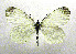  ( - OXB-TGS-1326)  @14 [ ] No Rights Reserved (2001) M. Virtala University of Oulu