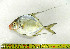  ( - OXF18)  @14 [ ] Unspecified (default): All Rights Reserved  Unspecified Unspecified