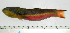  ( - OXF59)  @14 [ ] Unspecified (default): All Rights Reserved  Unspecified Unspecified