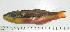  ( - OXF60)  @13 [ ] Unspecified (default): All Rights Reserved  Unspecified Unspecified