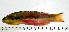  ( - OXF61)  @13 [ ] Unspecified (default): All Rights Reserved  Unspecified Unspecified