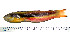  ( - OXF62)  @13 [ ] Unspecified (default): All Rights Reserved  Unspecified Unspecified