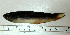  ( - OXF63)  @12 [ ] Unspecified (default): All Rights Reserved  Unspecified Unspecified