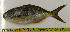  ( - OXF69)  @11 [ ] Unspecified (default): All Rights Reserved  Unspecified Unspecified