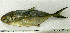  ( - OXF83)  @11 [ ] Unspecified (default): All Rights Reserved  Unspecified Unspecified