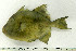  ( - OXF96)  @11 [ ] Unspecified (default): All Rights Reserved  Unspecified Unspecified