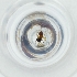  ( - MOZZ00000849A_A12)  @11 [ ] by  Genome Research Ltd as Wellcome Sanger Institute Genome Research Limited operating as Wellcome Sanger Institute
