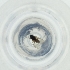  ( - MOZZ00000849A_D4)  @11 [ ] by  Genome Research Ltd as Wellcome Sanger Institute Genome Research Limited operating as Wellcome Sanger Institute