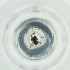  ( - MOZZ00000849A_E4)  @11 [ ] by  Genome Research Ltd as Wellcome Sanger Institute Genome Research Limited operating as Wellcome Sanger Institute