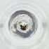  ( - MOZZ00000850A_E2)  @11 [ ] by  Genome Research Ltd as Wellcome Sanger Institute Genome Research Limited operating as Wellcome Sanger Institute