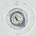  ( - MOZZ00000850A_G5)  @11 [ ] by  Genome Research Ltd as Wellcome Sanger Institute Genome Research Limited operating as Wellcome Sanger Institute