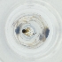  ( - MOZZ00000850A_H7)  @11 [ ] by  Genome Research Ltd as Wellcome Sanger Institute Genome Research Limited operating as Wellcome Sanger Institute