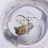  ( - MOZZ00000879A_E3)  @11 [ ] by  Genome Research Ltd as Wellcome Sanger Institute Genome Research Limited operating as Wellcome Sanger Institute